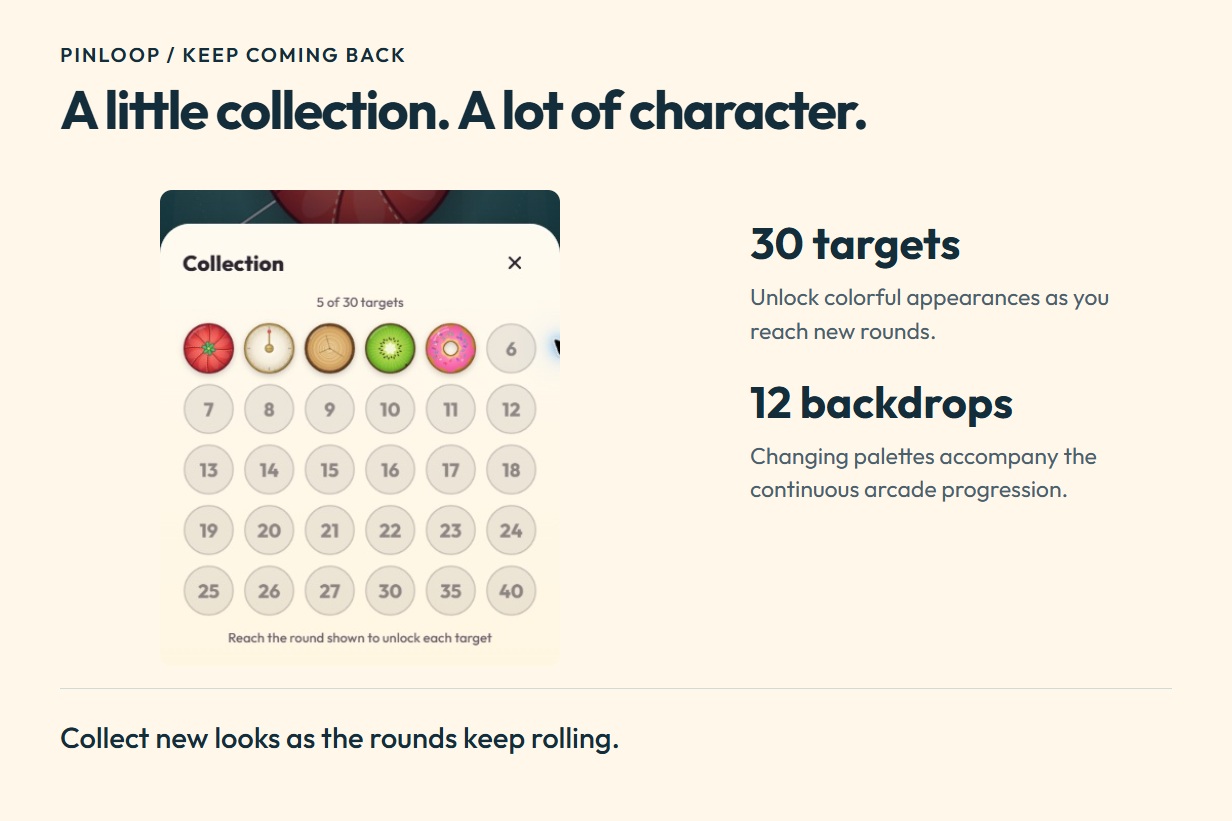 Pinloop features